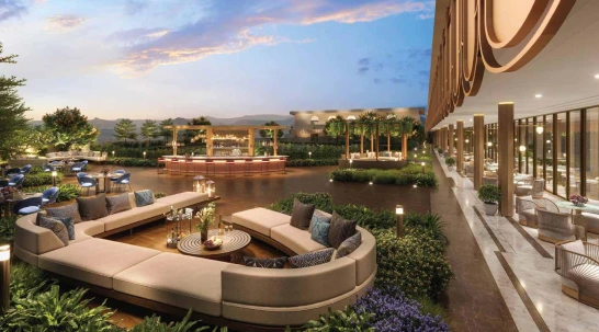 Lodha magnus