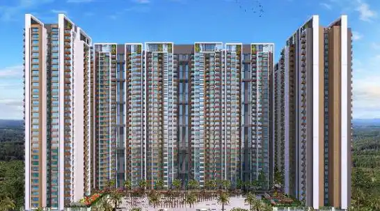 Lodha magnus